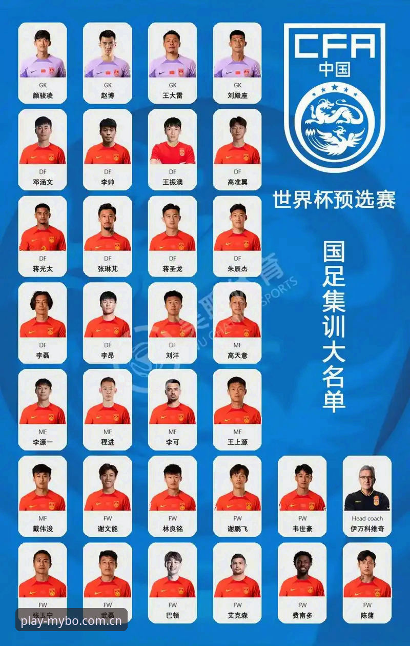 中国足球禁足名单深度解读：从迈博体育官网看行业自律的必备知识